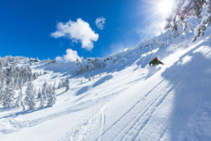 Sierra At Tahoe Powder