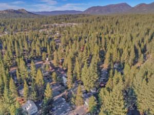 Houses in the Trees